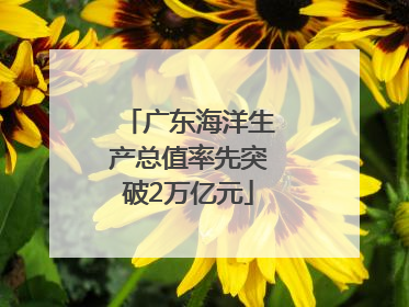 广东海洋生产总值率先突破2万亿元