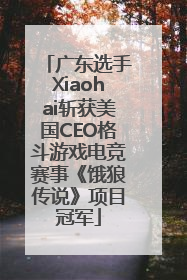 广东选手Xiaohai斩获美国CEO格斗游戏电竞赛事《饿狼传说》项目冠军