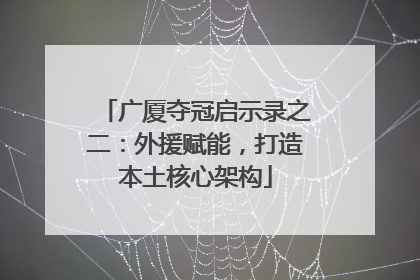 广厦夺冠启示录之二：外援赋能，打造本土核心架构