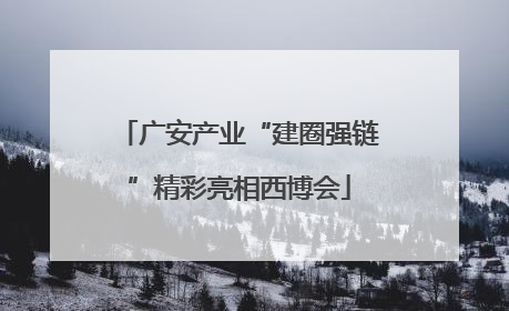 广安产业“建圈强链”精彩亮相西博会