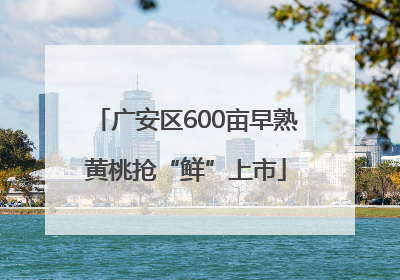 广安区600亩早熟黄桃抢“鲜”上市