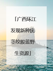 广西环江发现新种疣茎绞股蓝野生资源