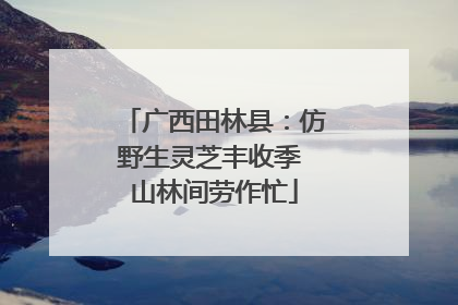 广西田林县：仿野生灵芝丰收季 山林间劳作忙