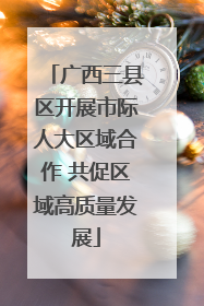 广西三县区开展市际人大区域合作 共促区域高质量发展