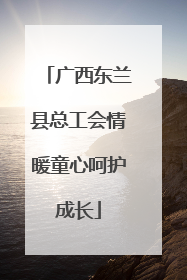 广西东兰县总工会情暖童心呵护成长