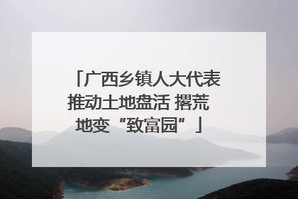 广西乡镇人大代表推动土地盘活 撂荒地变“致富园”