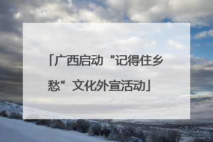 广西启动“记得住乡愁”文化外宣活动