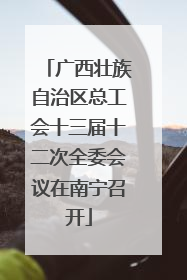 广西壮族自治区总工会十三届十二次全委会议在南宁召开