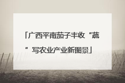 广西平南茄子丰收“蔬”写农业产业新图景