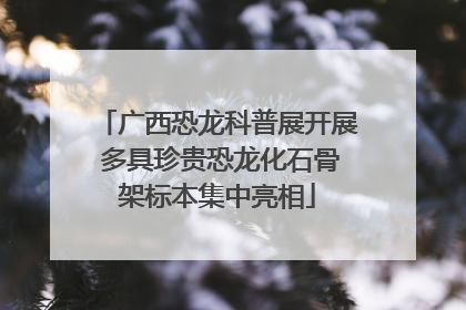 广西恐龙科普展开展 多具珍贵恐龙化石骨架标本集中亮相