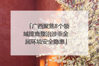 广西聚焦8个领域排查整治涉重金属环境安全隐患
