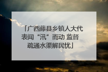 广西藤县乡镇人大代表闻“汛”而动 监督疏通水渠解民忧