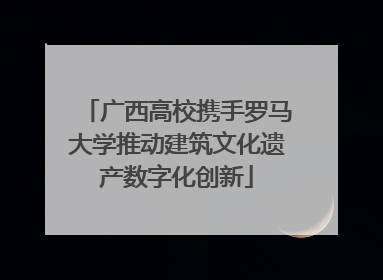 广西高校携手罗马大学推动建筑文化遗产数字化创新