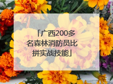 广西200多名森林消防员比拼实战技能