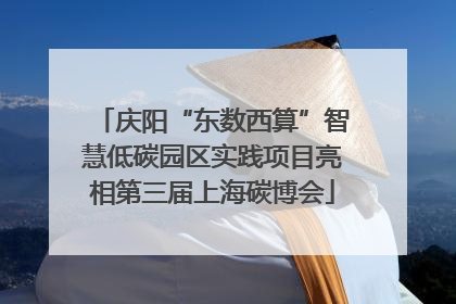 庆阳“东数西算”智慧低碳园区实践项目亮相第三届上海碳博会