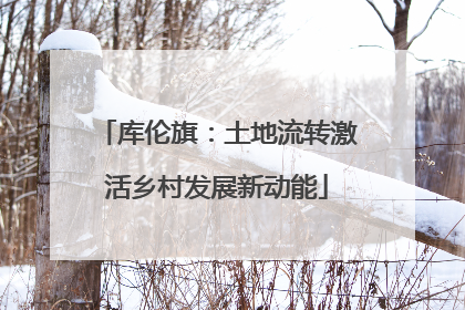 库伦旗：土地流转激活乡村发展新动能