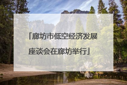 廊坊市低空经济发展座谈会在廊坊举行