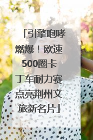 引擎咆哮燃爆！欧速500圈卡丁车耐力赛点亮荆州文旅新名片