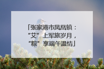 张家港市凤凰镇：“艾”上军旅岁月，“粽”享端午温情