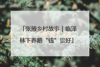张掖乡村故事｜临泽林下养鹅“钱”景好