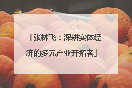 张林飞：深耕实体经济的多元产业开拓者