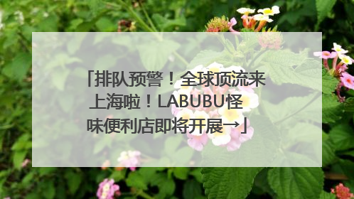 排队预警！全球顶流来上海啦！LABUBU怪味便利店即将开展→