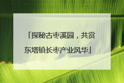 探秘古枣溪园，共赏东塔镇长枣产业风华
