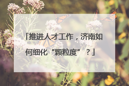 推进人才工作，济南如何细化“颗粒度”？