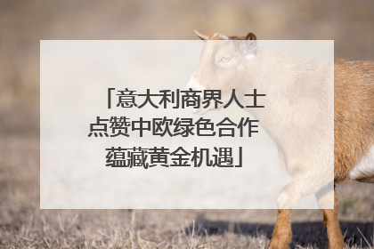 意大利商界人士点赞中欧绿色合作蕴藏黄金机遇