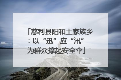 慈利县阳和土家族乡：以“迅”应“汛” 为群众撑起安全伞