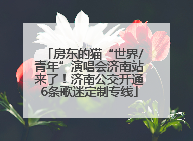 房东的猫“世界/青年”演唱会济南站来了！济南公交开通6条歌迷定制专线