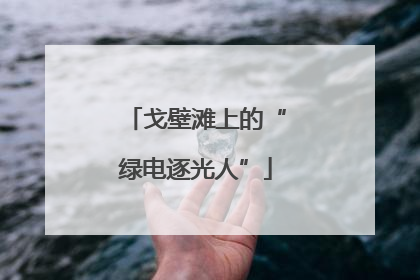戈壁滩上的“绿电逐光人”