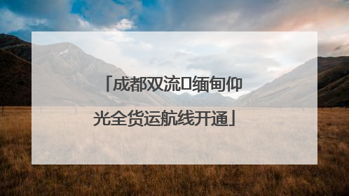 成都双流⇌缅甸仰光全货运航线开通