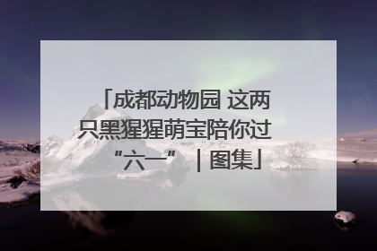 成都动物园 这两只黑猩猩萌宝陪你过“六一”｜图集