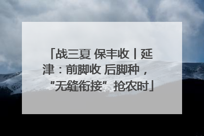 战三夏 保丰收丨延津：前脚收 后脚种，“无缝衔接”抢农时