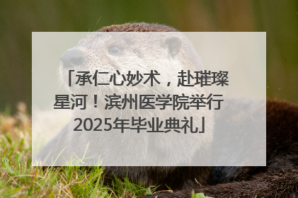承仁心妙术，赴璀璨星河！滨州医学院举行2025年毕业典礼