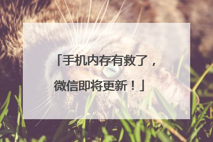 手机内存有救了，微信即将更新！