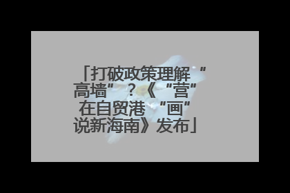 打破政策理解“高墙”？《“营”在自贸港 “画”说新海南》发布