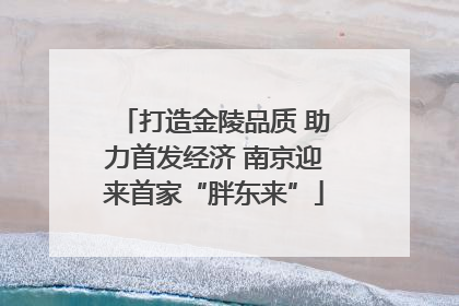 打造金陵品质 助力首发经济 南京迎来首家“胖东来”