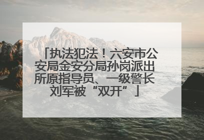 执法犯法！六安市公安局金安分局孙岗派出所原指导员、一级警长刘军被“双开”