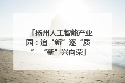 扬州人工智能产业园：追“新”逐“质” “新”兴向荣