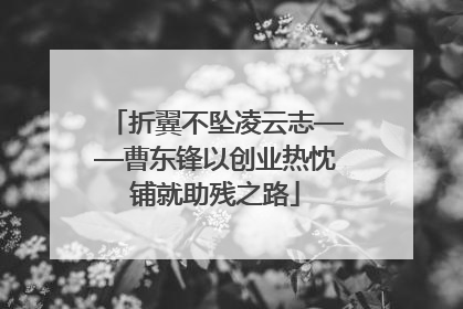 折翼不坠凌云志——曹东锋以创业热忱铺就助残之路