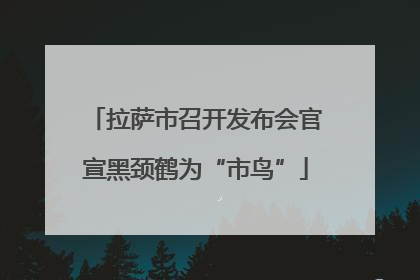 拉萨市召开发布会官宣黑颈鹤为“市鸟”