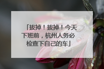拔掉！拔掉！今天下班前，杭州人务必检查下自己的车