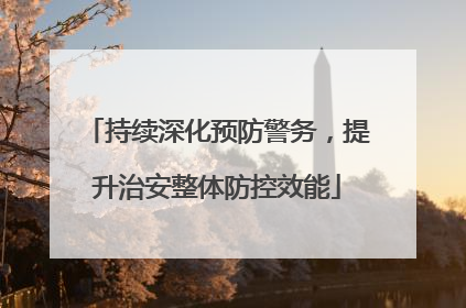 持续深化预防警务，提升治安整体防控效能