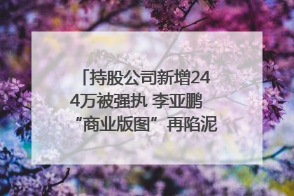 持股公司新增244万被强执 李亚鹏“商业版图”再陷泥潭？｜科技观察