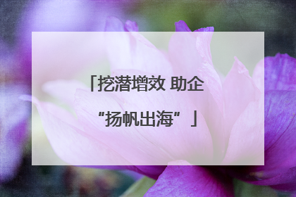 挖潜增效 助企“扬帆出海”