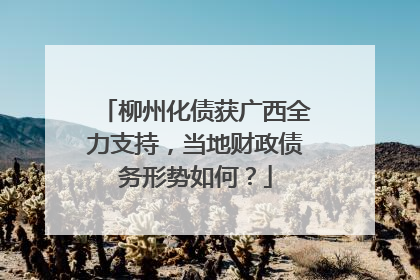 柳州化债获广西全力支持，当地财政债务形势如何？