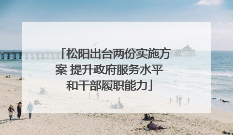 松阳出台两份实施方案 提升政府服务水平和干部履职能力