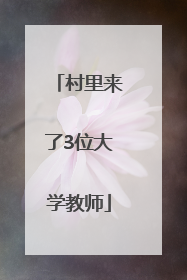 村里来了3位大学教师